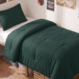CozyLux Comforter Set 2/3 Pieces Solid Breathable Quilted Style Bedding Sets, Luxury Fluffy Soft Microfiber Down Alternative Comforter for All Seasons