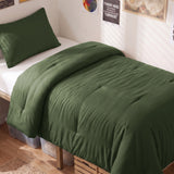 CozyLux Comforter Set 2/3 Pieces Solid Breathable Quilted Style Bedding Sets, Luxury Fluffy Soft Microfiber Down Alternative Comforter for All Seasons