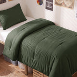 CozyLux Comforter Set 2/3 Pieces Solid Breathable Quilted Style Bedding Sets, Luxury Fluffy Soft Microfiber Down Alternative Comforter for All Seasons
