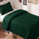 CozyLux Comforter Set 2/3 Pieces Solid Breathable Quilted Style Bedding Sets, Luxury Fluffy Soft Microfiber Down Alternative Comforter for All Seasons