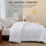 CozyLux Comforters Duvet Insert, All Season Quilted Bed Comforter, Box Stitched Down Alternative Duvet with 8 Corner Tabs, Gifts for Women Men