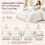 CozyLux Seersucker Bed in a Bag 5/7 Pieces All-Season Soft Comforter Sets