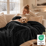Cozylux Fleece Queen Comforter Set, OEKO-TEX Certified, Winter Warm & Fluffy 300GSM 3D Stripe Flannel Bedding, Super Soft Faux Fur Bed Set, Bedroom Decor with 2 Pillowcases, Sage Green