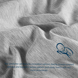 Cationic Dyeing Comforter Set with Pillow Shams