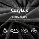 Sherpa Fleece Reversible Blanket