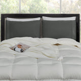 Embroidered Brushed Microfiber Pillowcases Set of 2